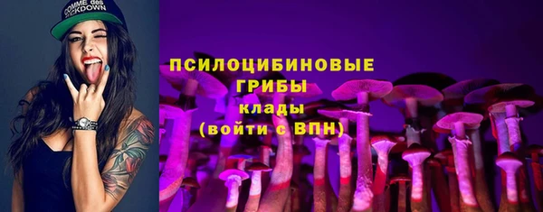 СК Алексеевка