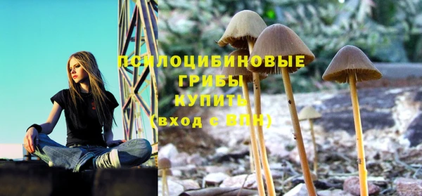 соль ск Алзамай