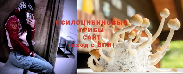 соль ск Алзамай